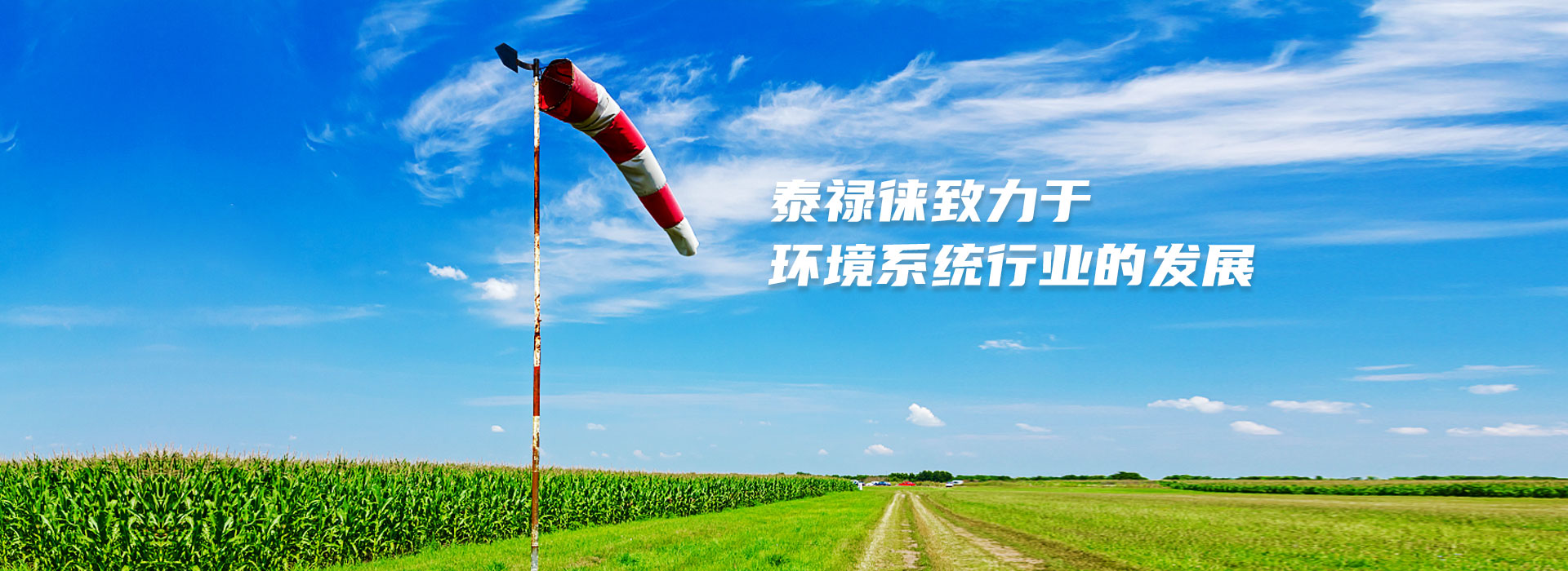  武漢泰祿徠環境系統有限公司